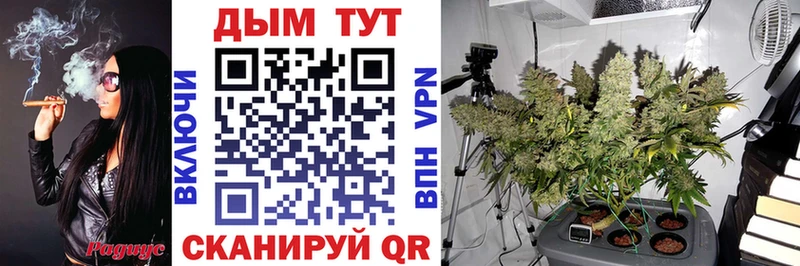 блэк спрут онион  Сухой Лог  Конопля THC 21% 